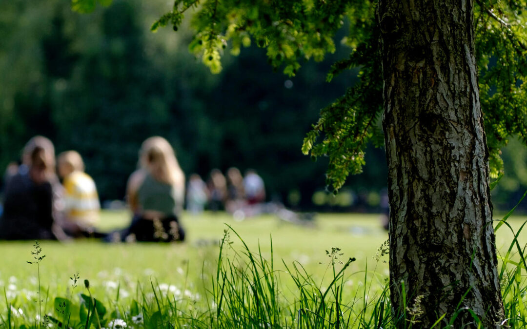 Visuel 1920x1080 stage d ete